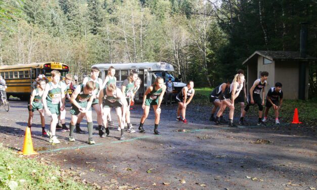 Two Petersburg boys led regional cross country meet but PHS and most small Southeast teams not attending State