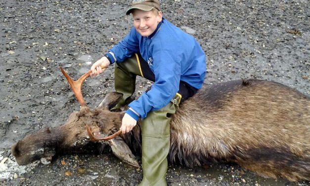 Moose numbers tick upward in central SE AK hunt