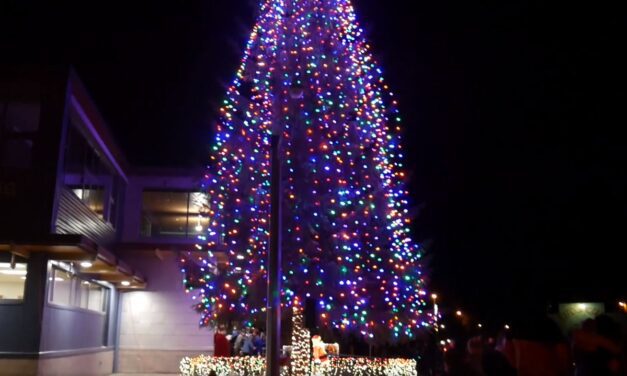 Petersburg tree lighting to take place Friday with COVID protocols in place