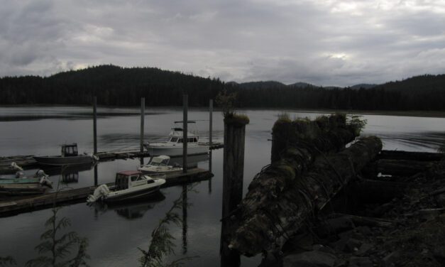 Hatchery board votes to end summer coho program on eastern Prince of Wales