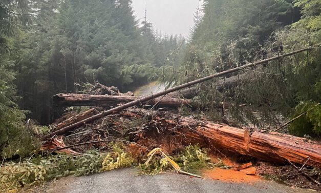 Some Petersburg area roads damaged in December deluge