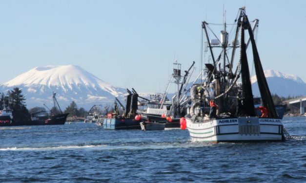 Alaska Department of Fish and Game performs aerial surveys of Ketchikan and Sitka herring fisheries