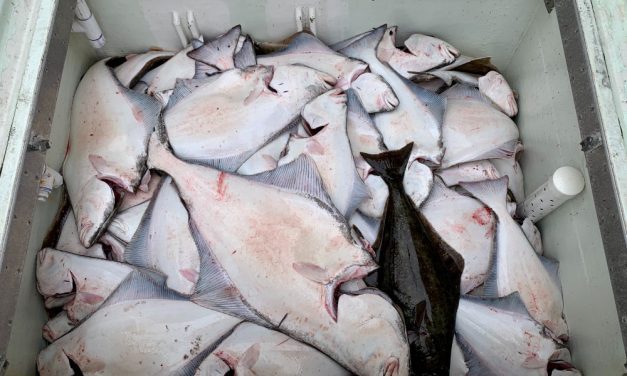 NOAA Fisheries reports on early pandemic impact on fisheries
