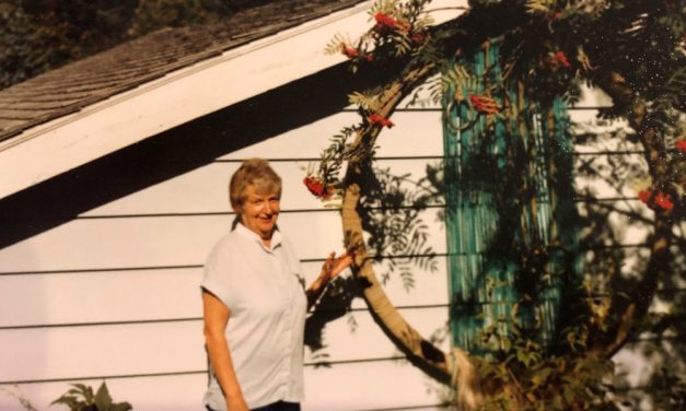 Petersburg library endowments grow with large donations