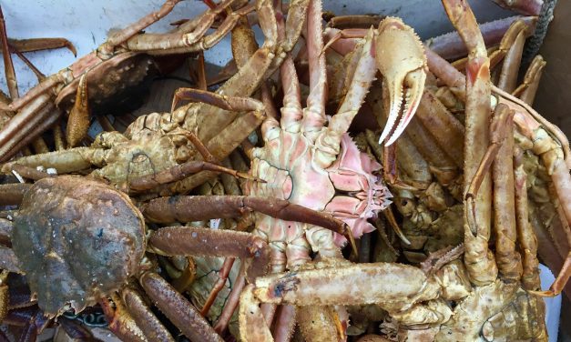 Commercial Tanner and golden king crab fishing to open Feb. 17 in Southeast Alaska