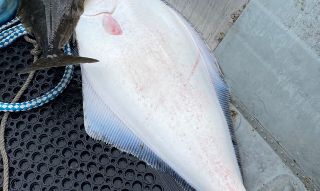 State charges Petersburg fishing guides with 54 violations