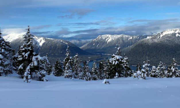 Forest Service contracts for new Ravens Roost cabin near Petersburg