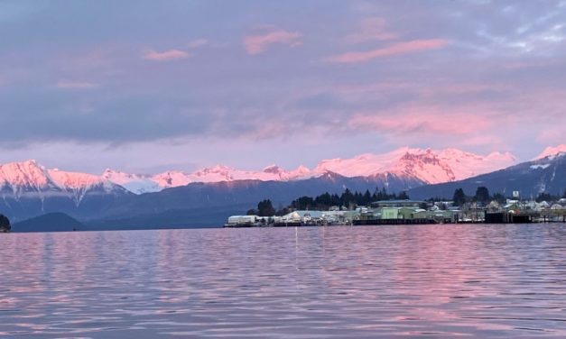 Petersburg’s active case count continues dropping