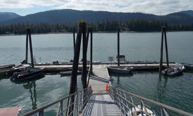 Petersburg assembly looks at pursuing improvements to remote docks