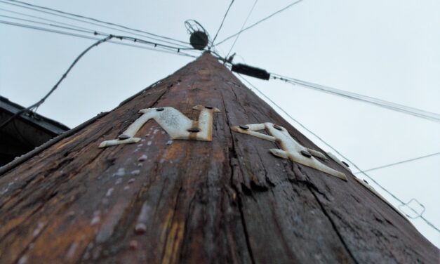 Bad insulator caused two power outages in Petersburg Saturday