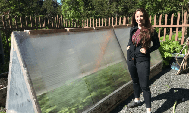 The Market returns, with grant recipients ready to share produce