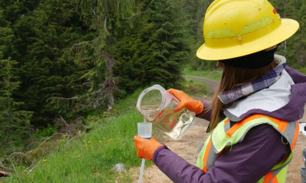 Forest Service searches for deadly frog fungus on Mitkof Island