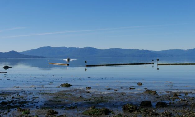 Petersburg assembly moves money around in final budget