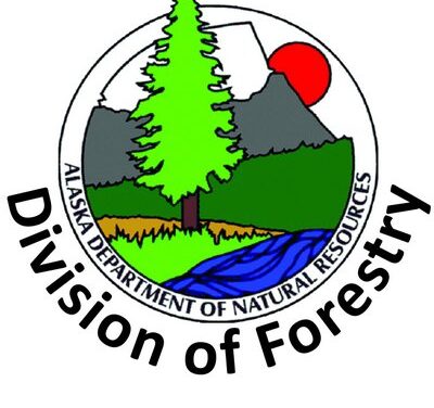 Alaska recruits former California official as top forester