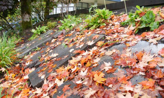 Plan due out later this month on school mitigation measures