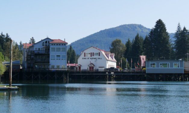 Petersburg businesses report losing nearly half their revenue during pandemic