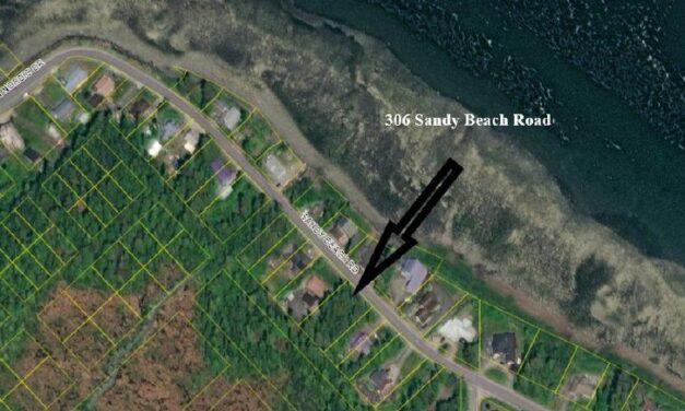 Petersburg to sell some land by sealed bid