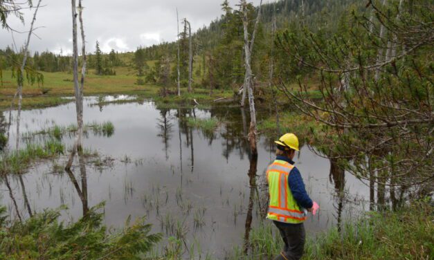 Forest Service receives comments, suggestions for 2023 projects