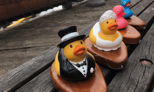 ‘Rubber ducky, you’re the one’: Rotary president proposes at fundraiser