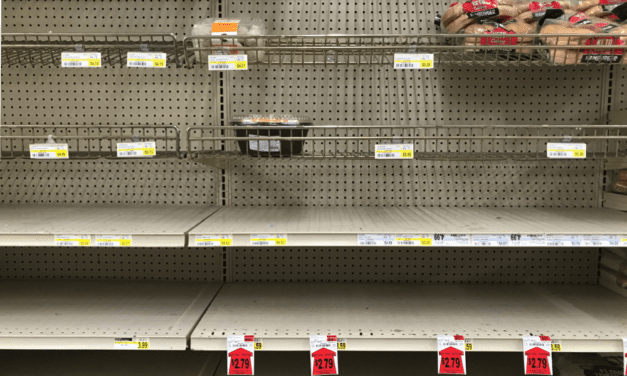 Supply shortages, shipping delays at Trading Union may last weeks