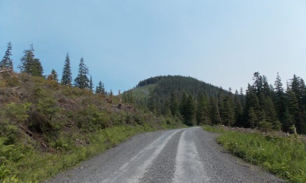 Forest Service plans more small and micro timber sales