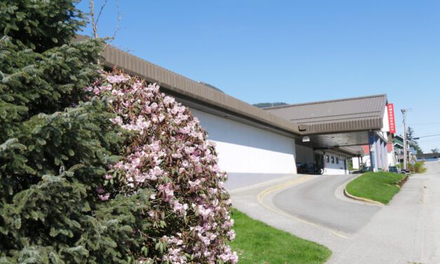 Present and future of health care on mind of hospital board candidates