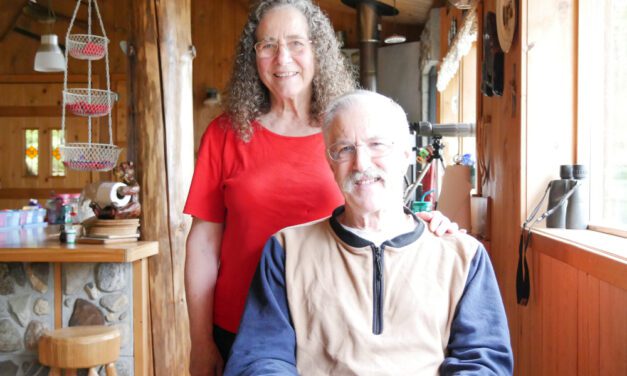 Property tax for remote subdivision on Petersburg ballot