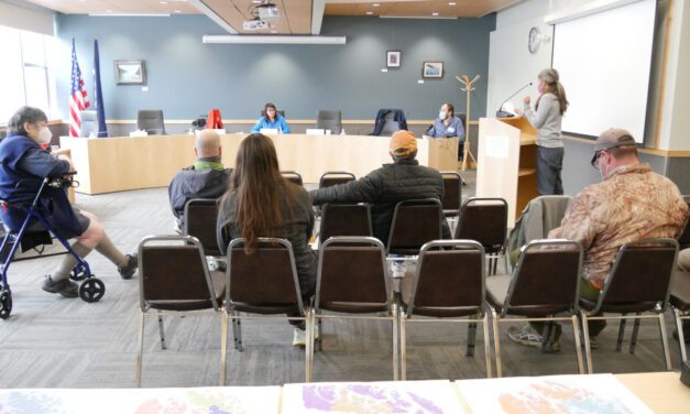 Petersburg residents back House district with smaller SE towns