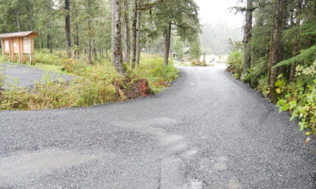 Parks and Recreation projects remove, improve access