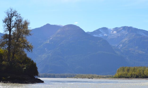 Petersburg assembly OKs resolution seeking BC mining permit pause, end to tailings dams