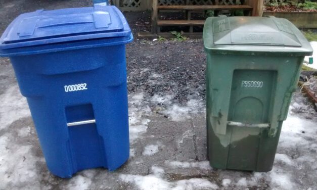 Petersburg ordinance on garbage rate hikes, trash can bears passes first vote