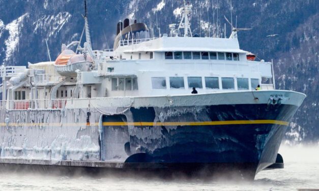 PHS volleyball team ends season at regional tournament