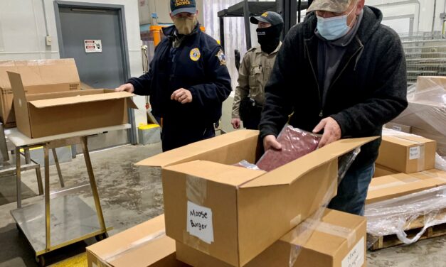 Petersburg’s Burger Bank to distribute nearly 2,000 pounds of ground moose meat