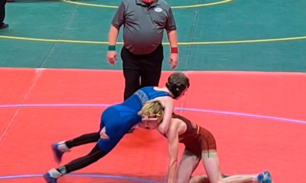 PHS wrestling has fifth and sixth place finishers at state