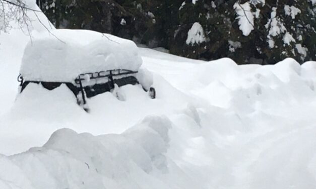 Whale Pass residents recover from 100 inches of snow in December