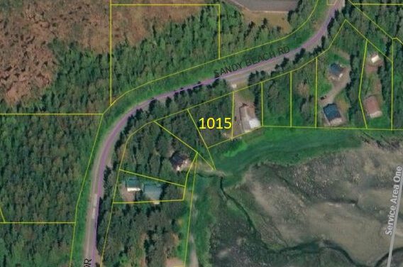 Petersburg assembly votes to auction off Sandy Beach Road lots