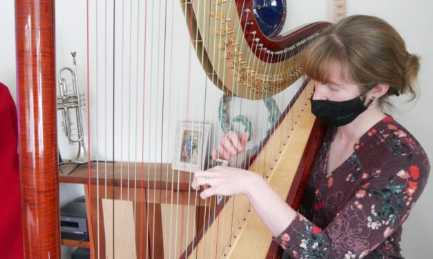 Harp concert Saturday postponed