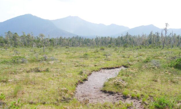 Researchers meet to review impacts of drought, extreme weather in SE