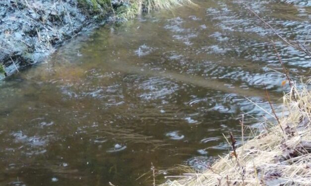 Wet start to 2022 for Petersburg