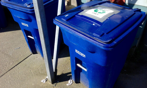 No recycling pick up for Petersburg residential customers this week