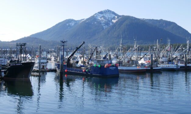 Petersburg’s South Harbor dredging could start in October