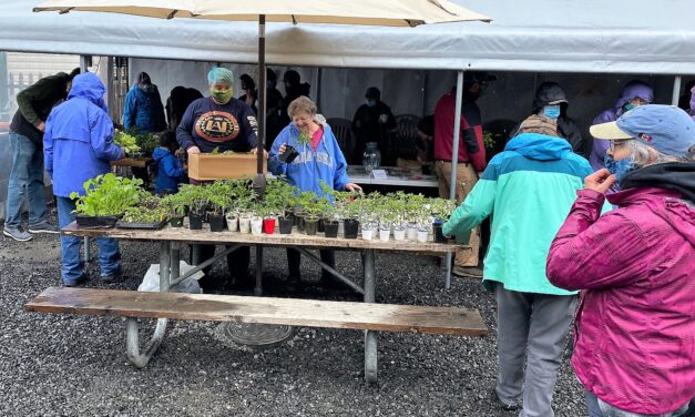 The Market in Petersburg gears up for a season of sharing space