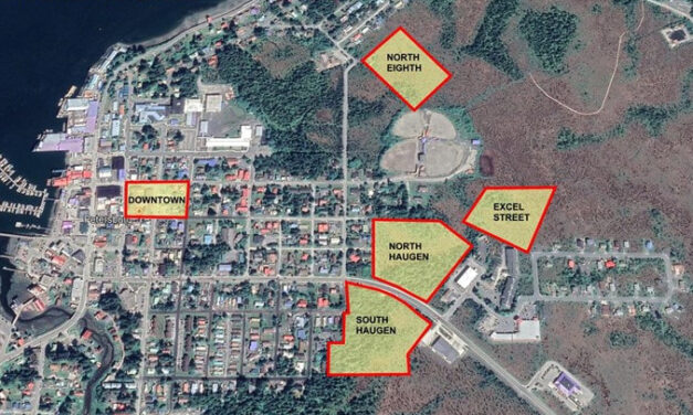 $20 million proposed in state budget for Petersburg hospital