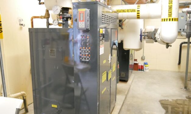 Petersburg Parks and Rec partly reopen after weeks of repairs, cleaning