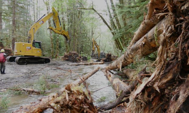 Forest Service repairs flood plain, creeks south of Petersburg