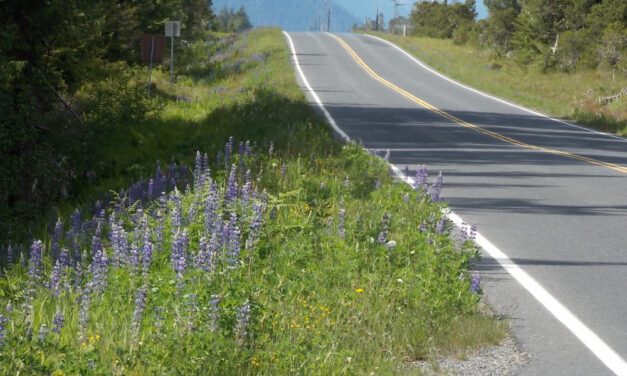 Culvert replacement planned on Mitkof Highway from 2020 storm damage