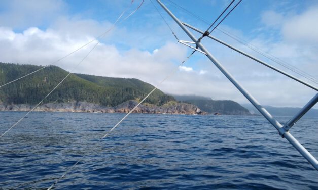 Troll fishery has short closure after long king opening