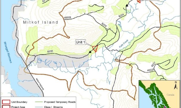 Forest service OKs young growth timber sale on Mitkof Island
