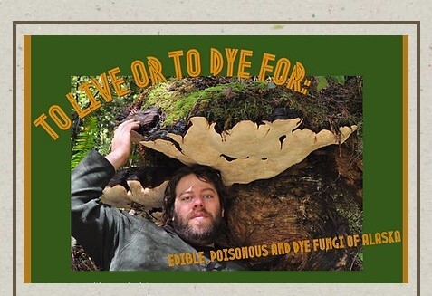 Visiting “mycohobo” gives guided mushroom talks