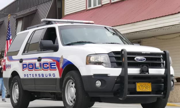 Petersburg man pleads guilty to producing indecent picture